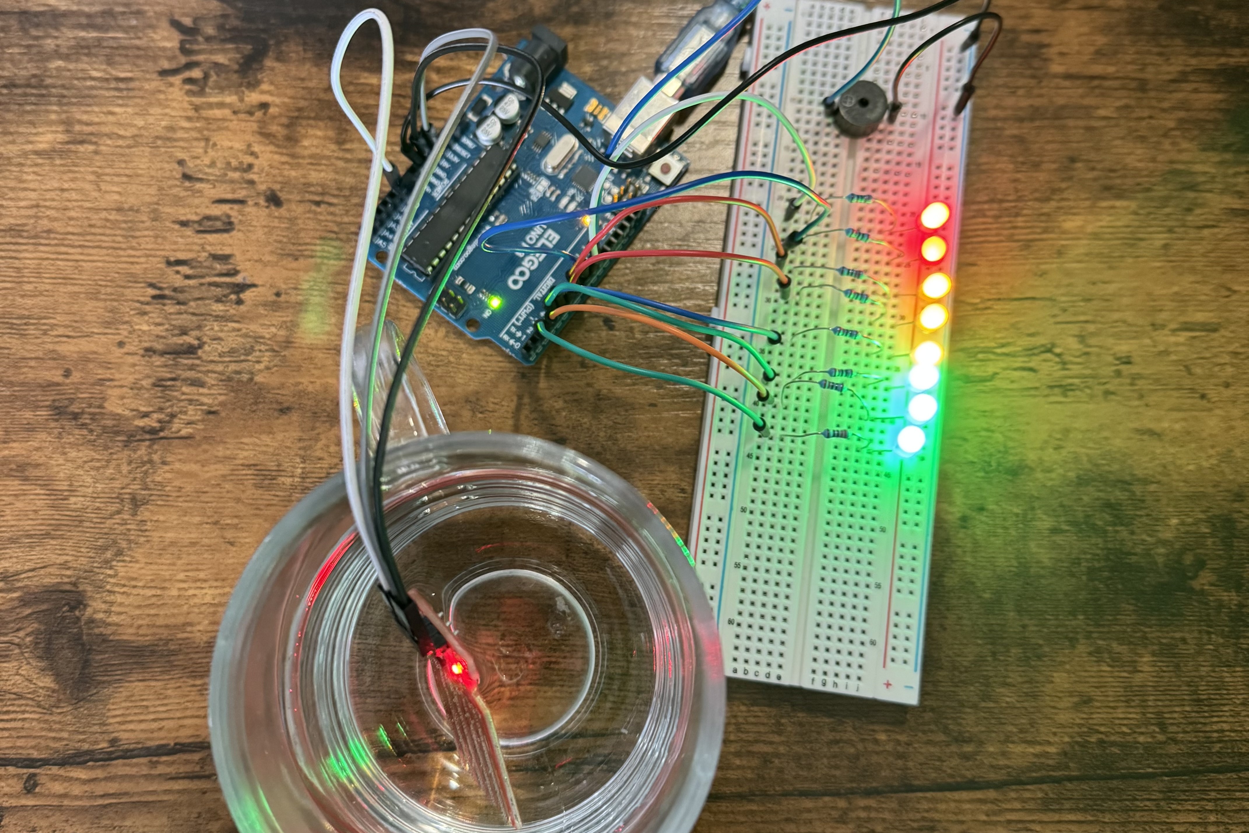 Water Level Indicator Project Image
